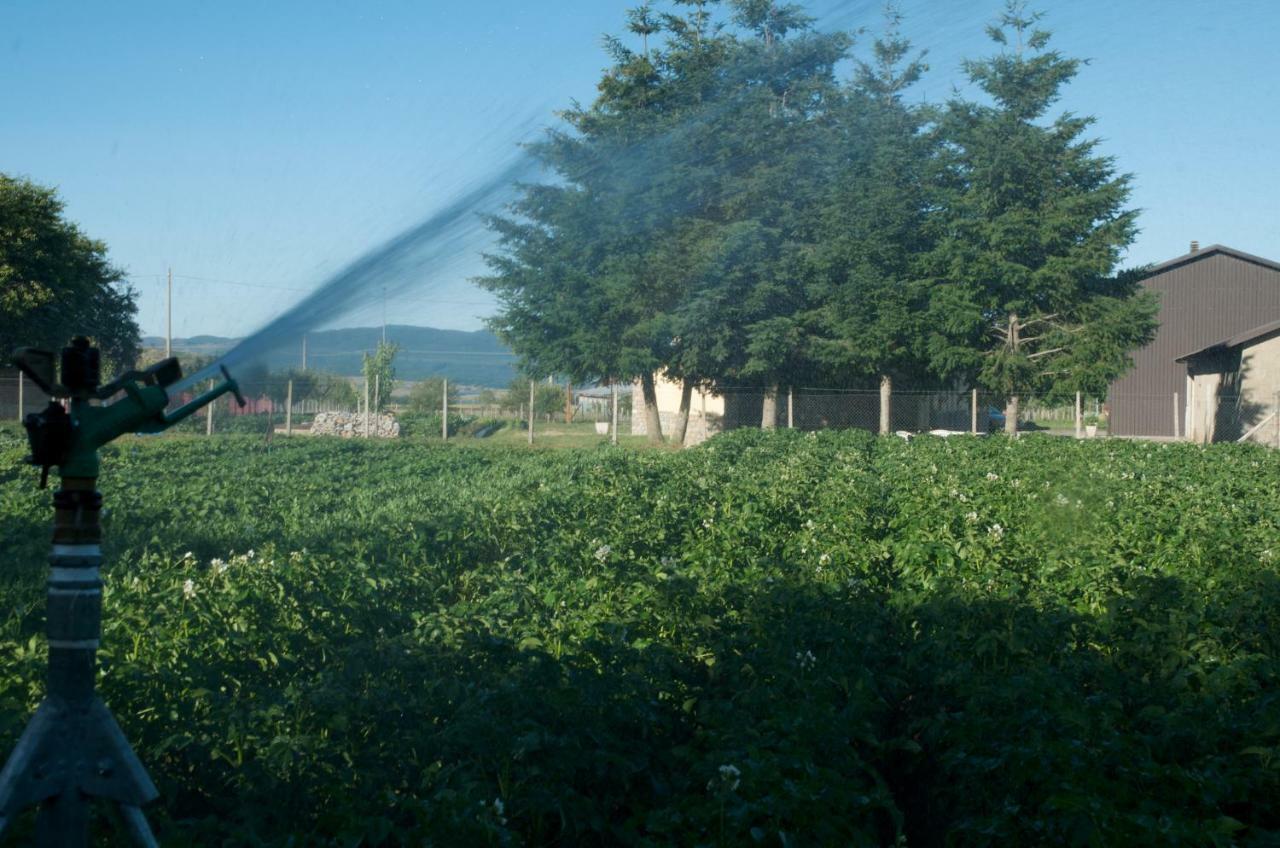 Agriturismo Fiorella Camigliatello Silano Eksteriør bilde