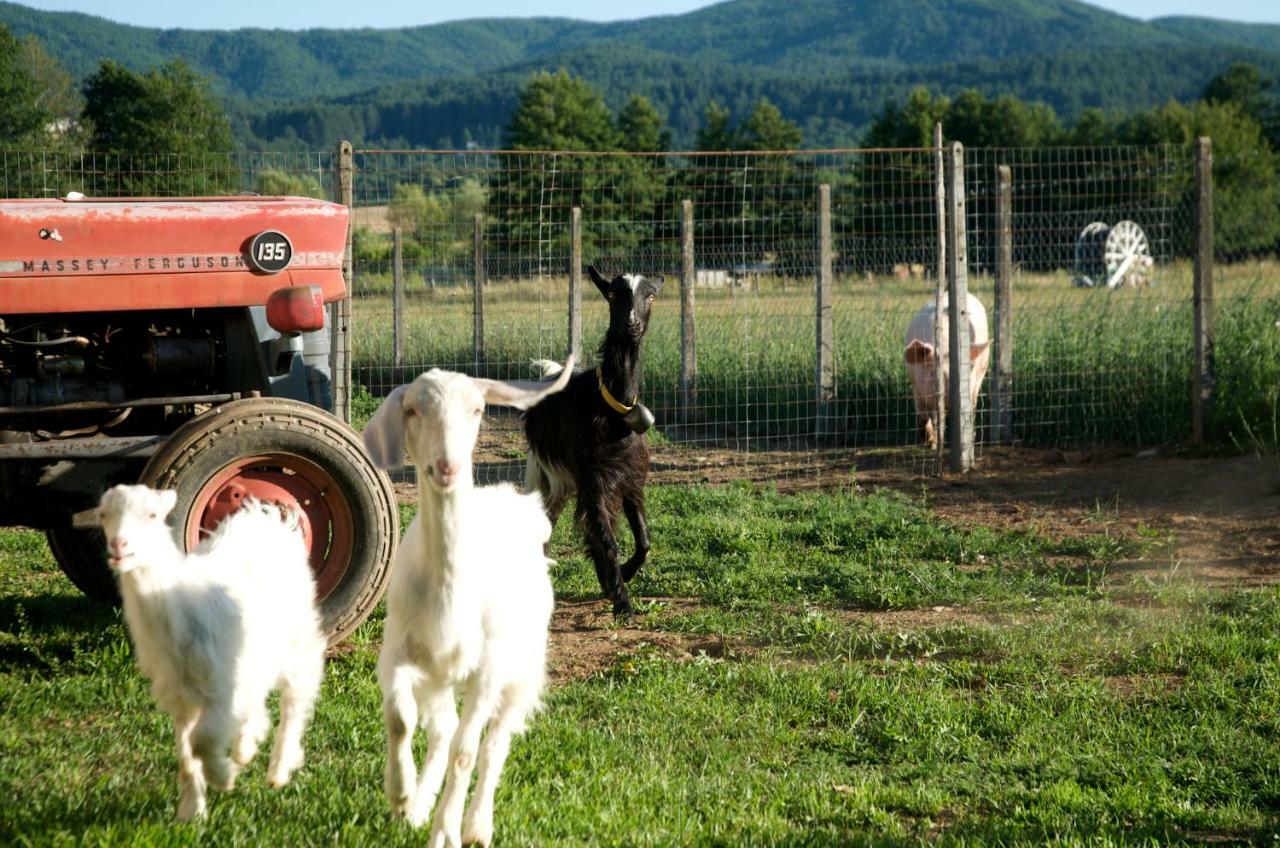 Agriturismo Fiorella Camigliatello Silano Eksteriør bilde