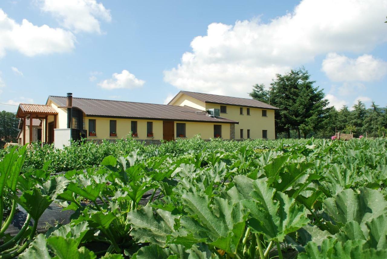 Agriturismo Fiorella Camigliatello Silano Eksteriør bilde