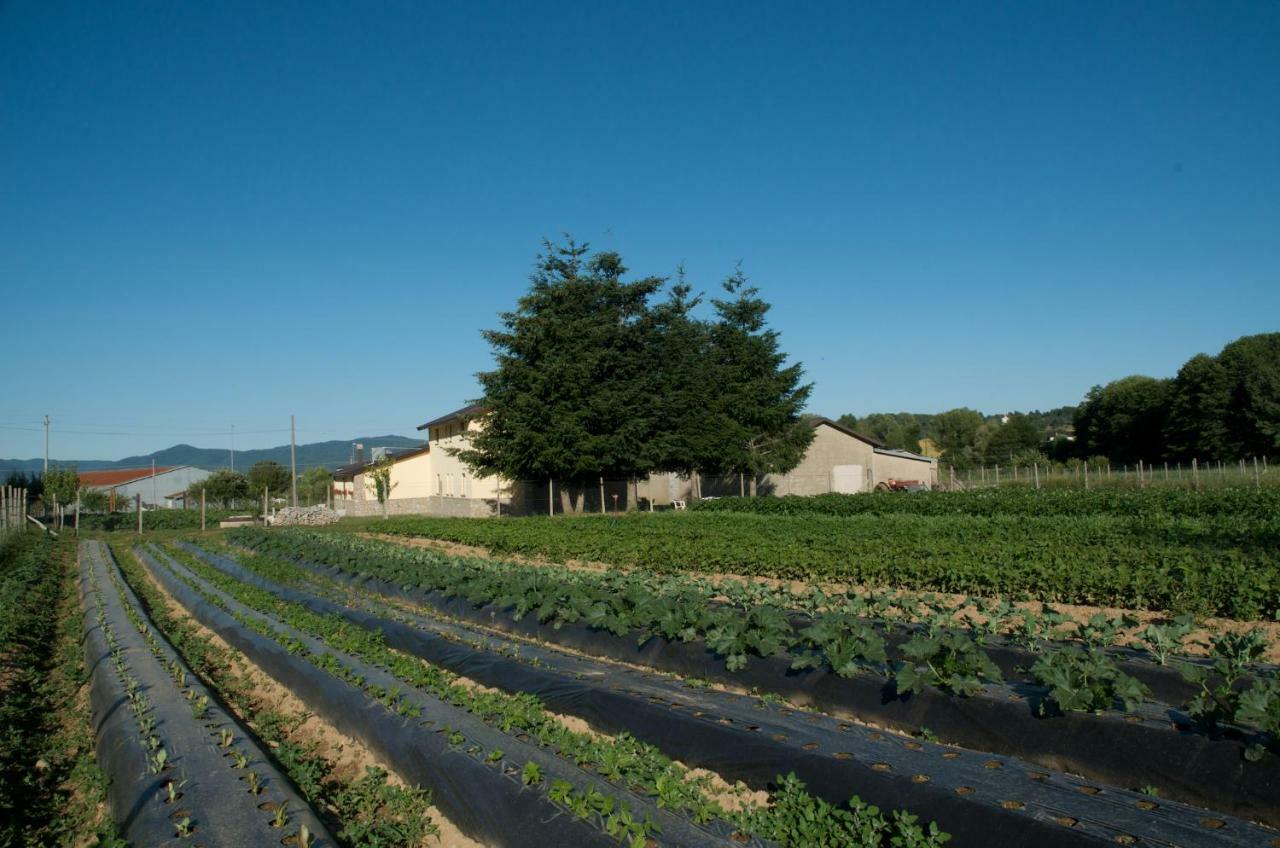 Agriturismo Fiorella Camigliatello Silano Eksteriør bilde